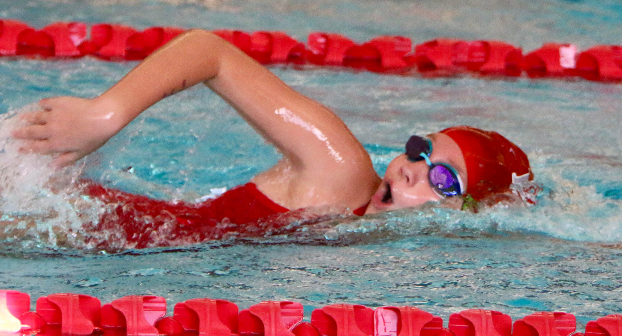 competitive swimmer college essay